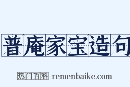 普庵家宝造句是什么意思的图片